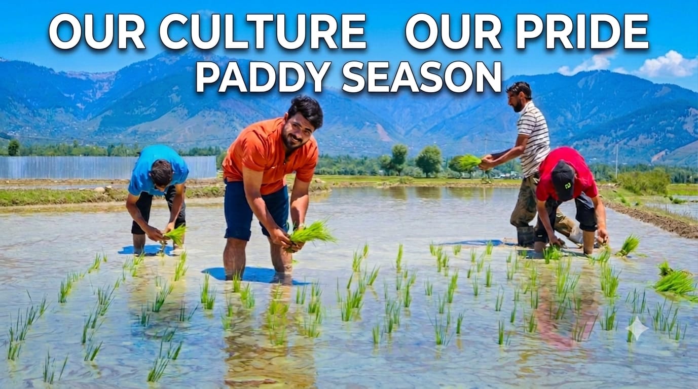 OUR CULTURE OUR PRIDE PADDY SEASON